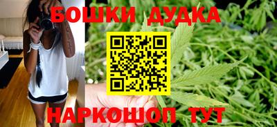 apvp Пугачёв