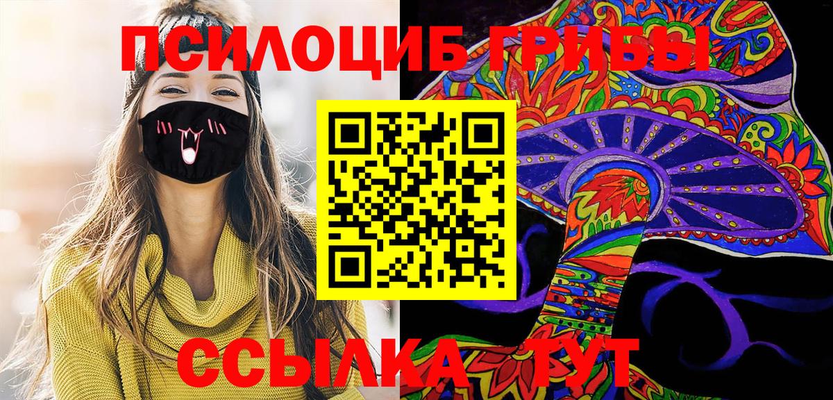 Галлюциногенные грибы Psilocybe Орёл