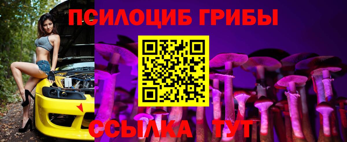 Орёл  Псилоцибиновые грибы мицелий  Вход с VPN  где продают   Галлюциногенные грибы Cubensis 